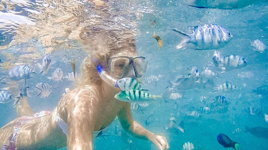 Snorkelling